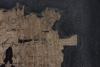 Makroaufnahme Papyrus